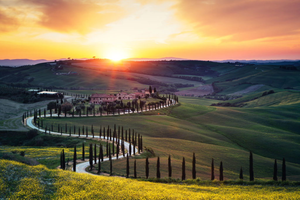 Luca la guida - Guided tours in tusnay, Pisa, Lucca, Florence and more